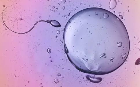 为什么你的卵泡数量比别人少？