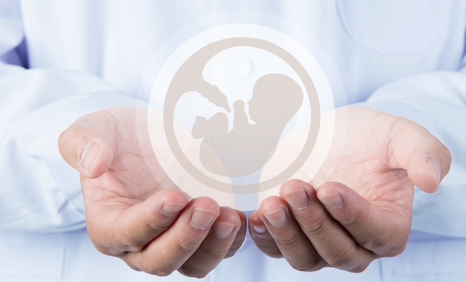 关于试管婴儿的流程、费用、成功率等问题（下）