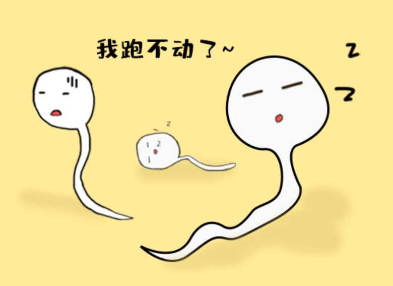 备孕发现老公是弱精，医生建议试管，有没有办法调理呀？