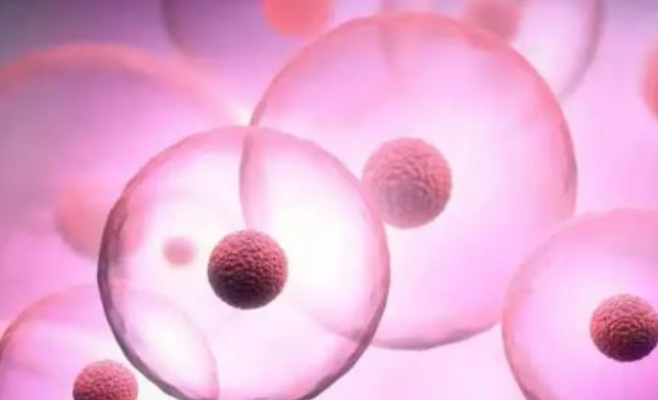 反复种植失败？别忽略子宫内膜血流这个“关键信号”